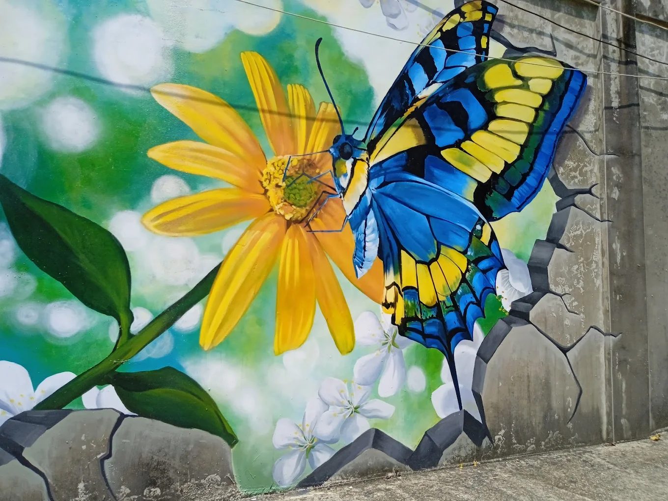 桃園秘境探索｜五大隱藏景點＆美食推薦，一日遊最佳路線 🌿