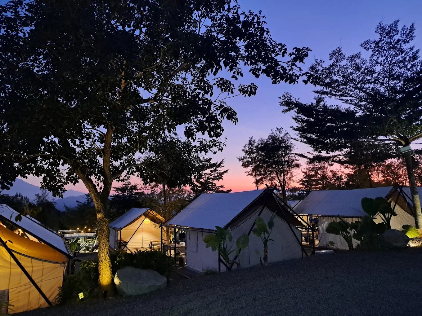 燈火嵐杉野奢露營區｜感受南投山林奢華露營的新體驗