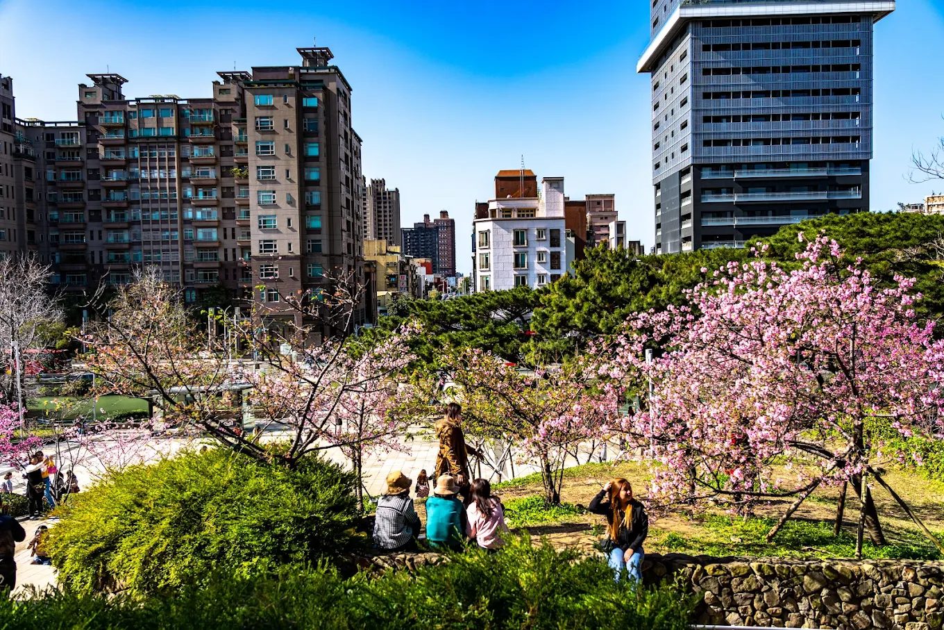 新竹城市綠洲全攻略｜漫步新竹公園與周邊5大景點提案