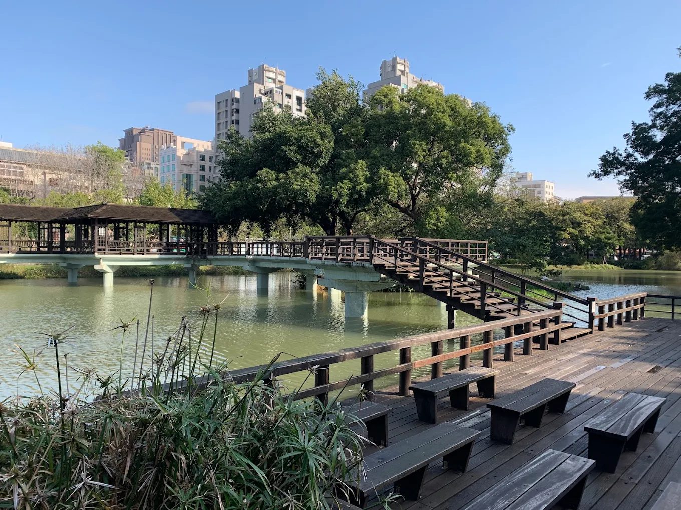 新竹城市綠洲全攻略｜漫步新竹公園與周邊5大景點提案