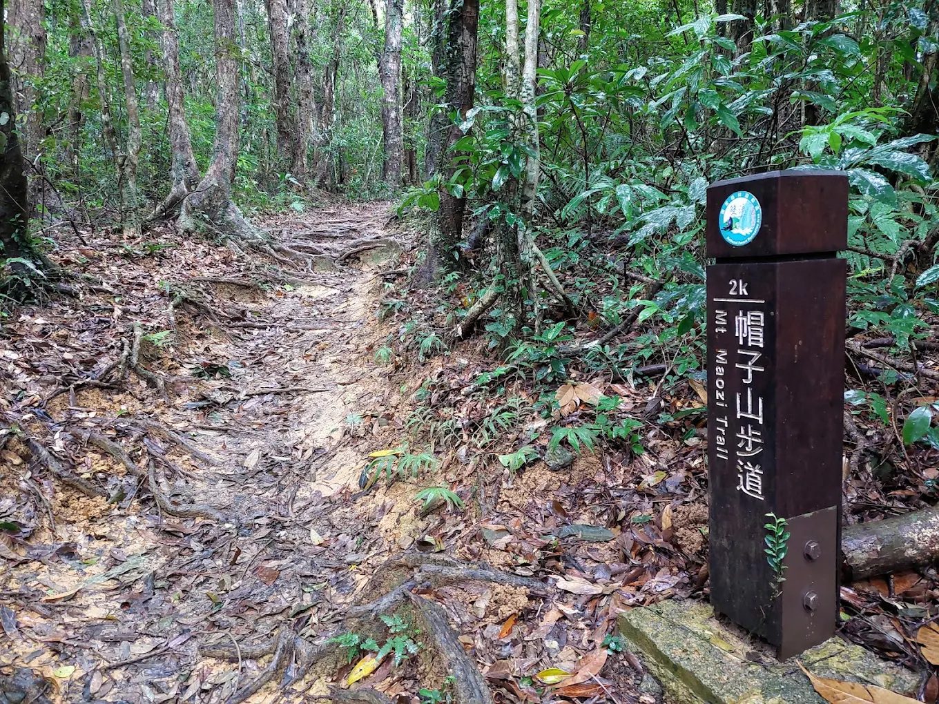 雙流國家森林遊樂區｜探索台灣最美的自然風光