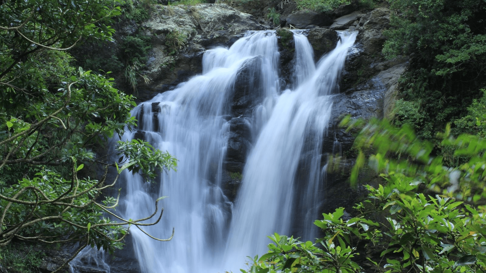 在南台灣低海拔森林停留，雙流國家森林遊樂區，讓時間與自然一起流動