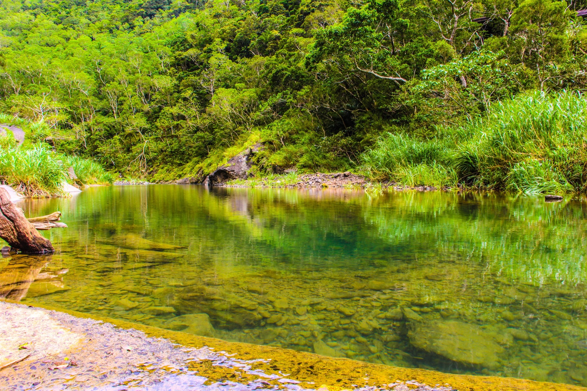 在南台灣低海拔森林停留，雙流國家森林遊樂區，讓時間與自然一起流動