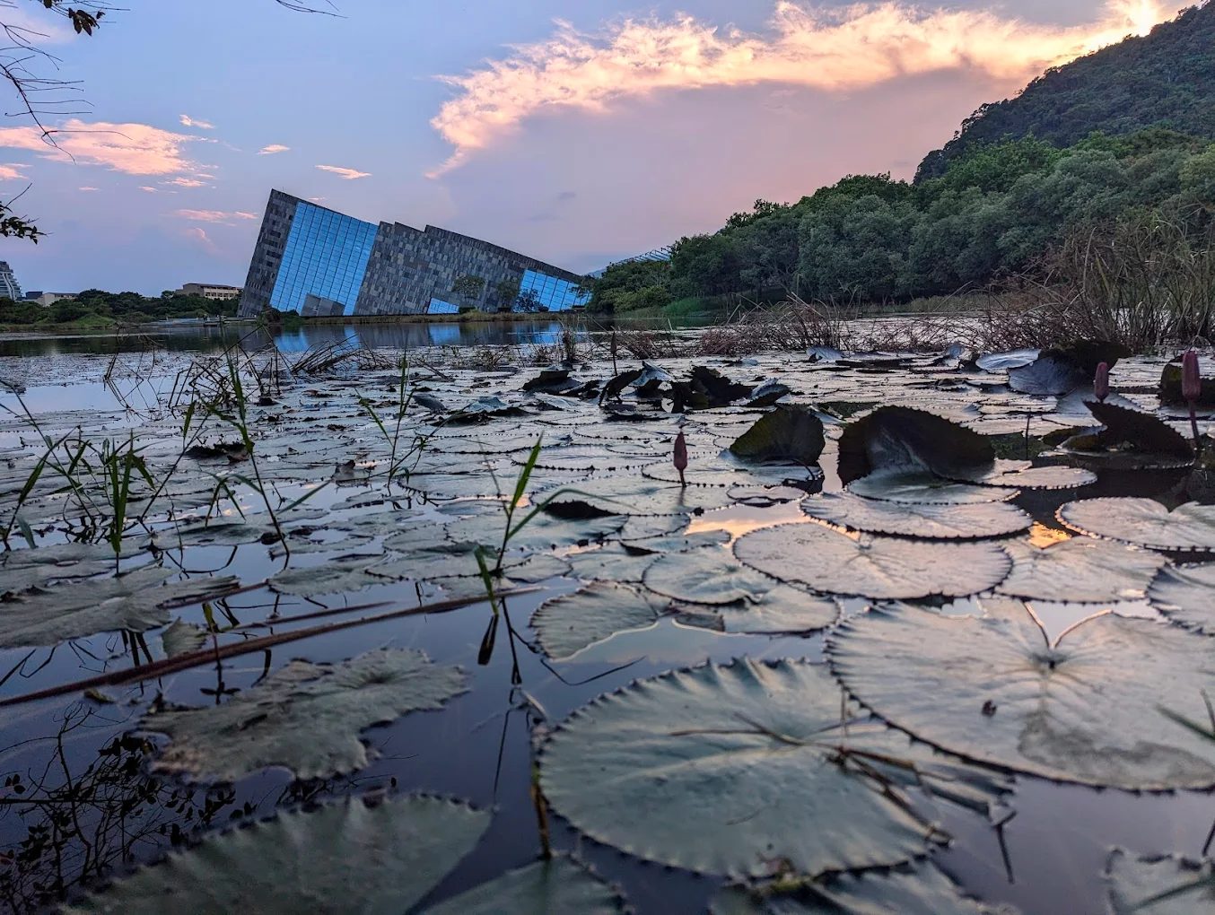宜蘭蘭陽博物館一日遊攻略｜展覽亮點、湖畔景點、美食推薦一次掌握！
