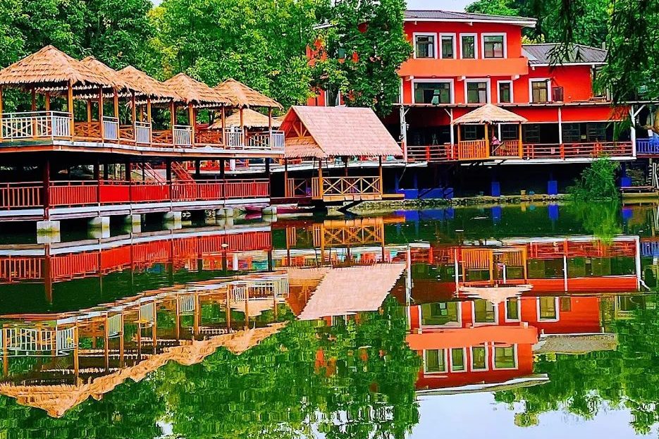 雲林必訪｜近水樓台湖畔森林咖啡：悠閒沉浸自然的慢時光