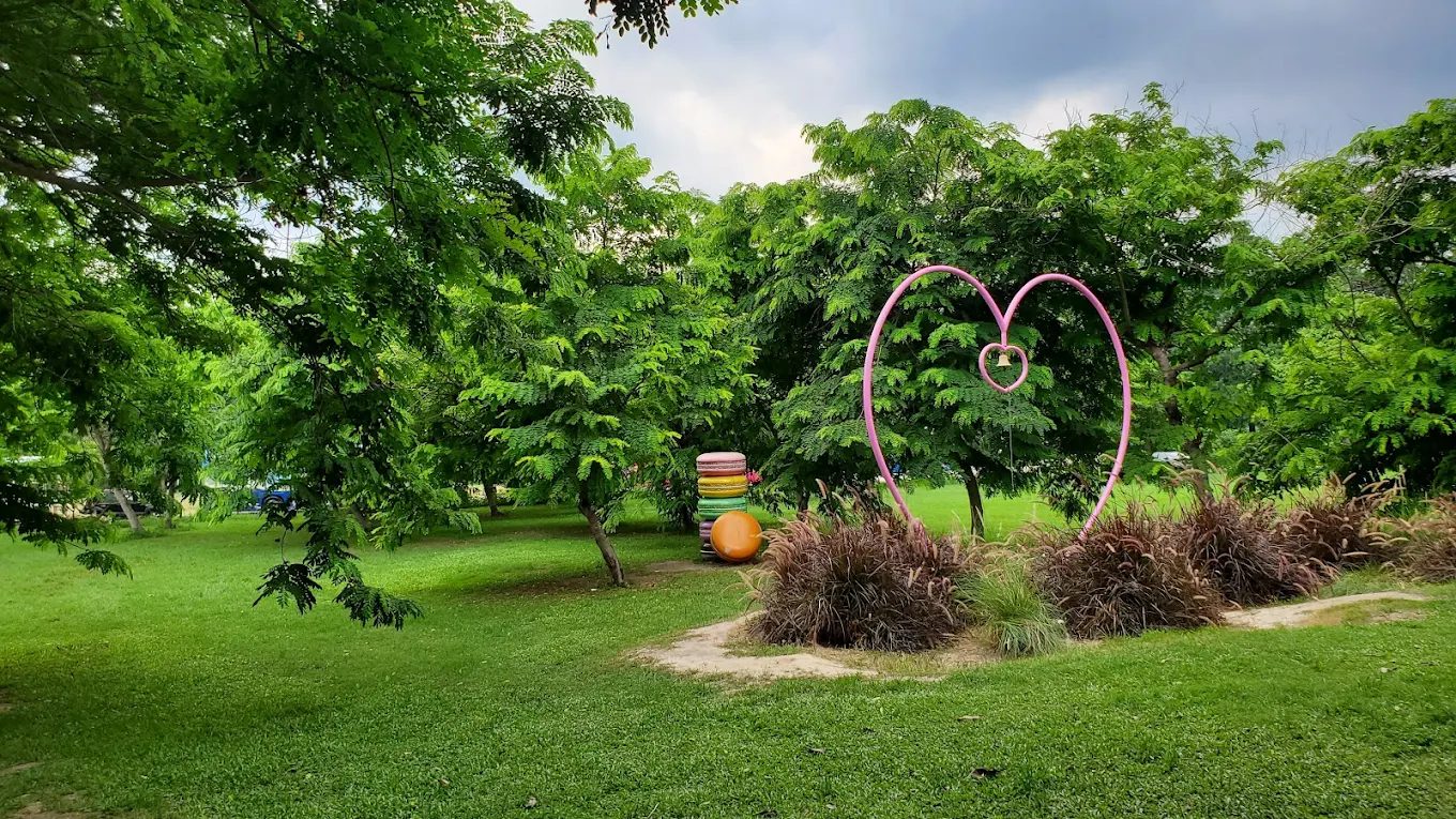 雲林必訪｜近水樓台湖畔森林咖啡：悠閒沉浸自然的慢時光