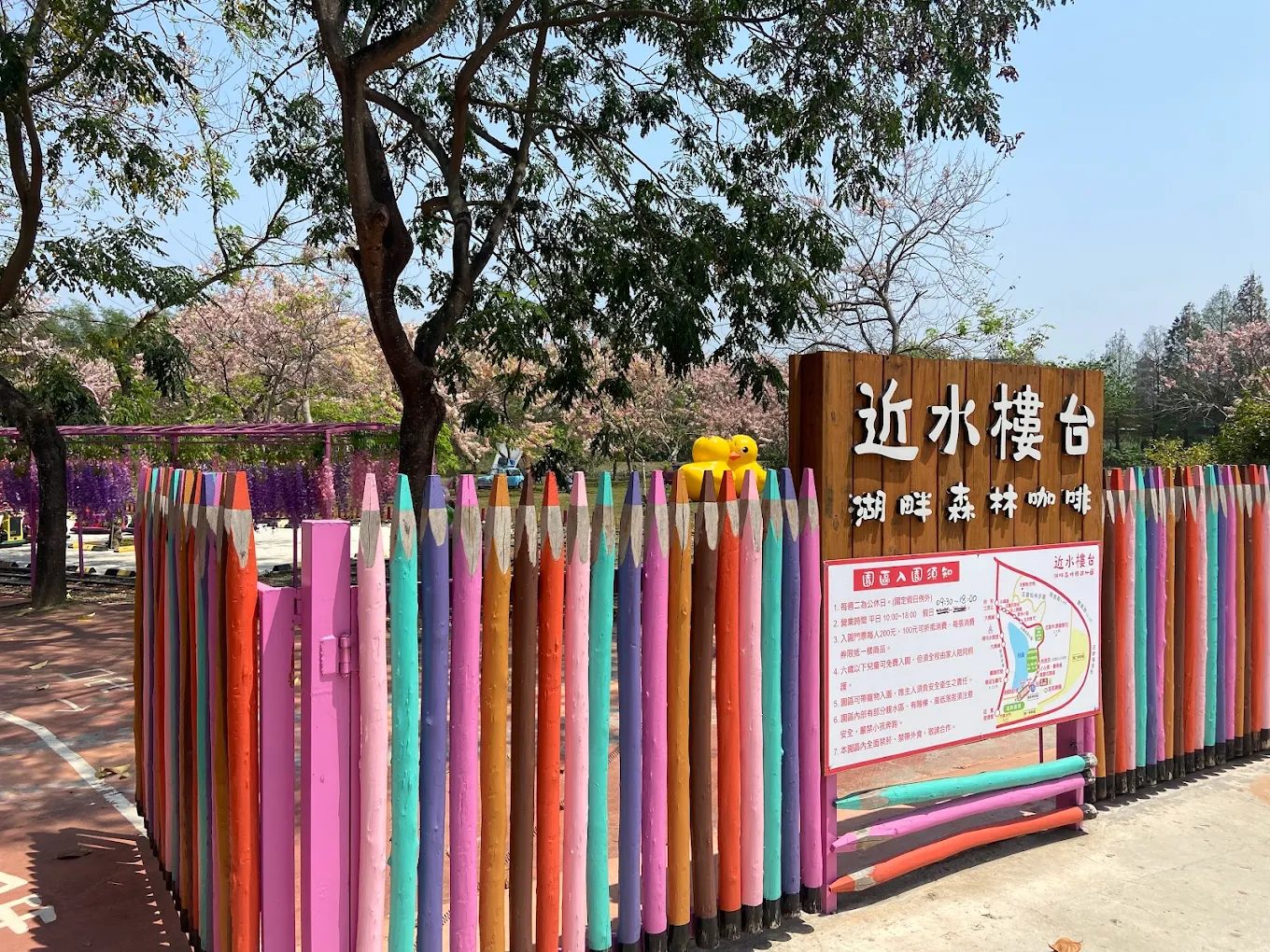 雲林必訪｜近水樓台湖畔森林咖啡：悠閒沉浸自然的慢時光