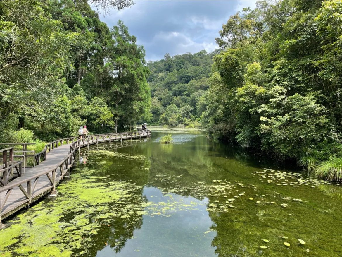 探索福山植物園：最佳親子旅遊與自然生態體驗