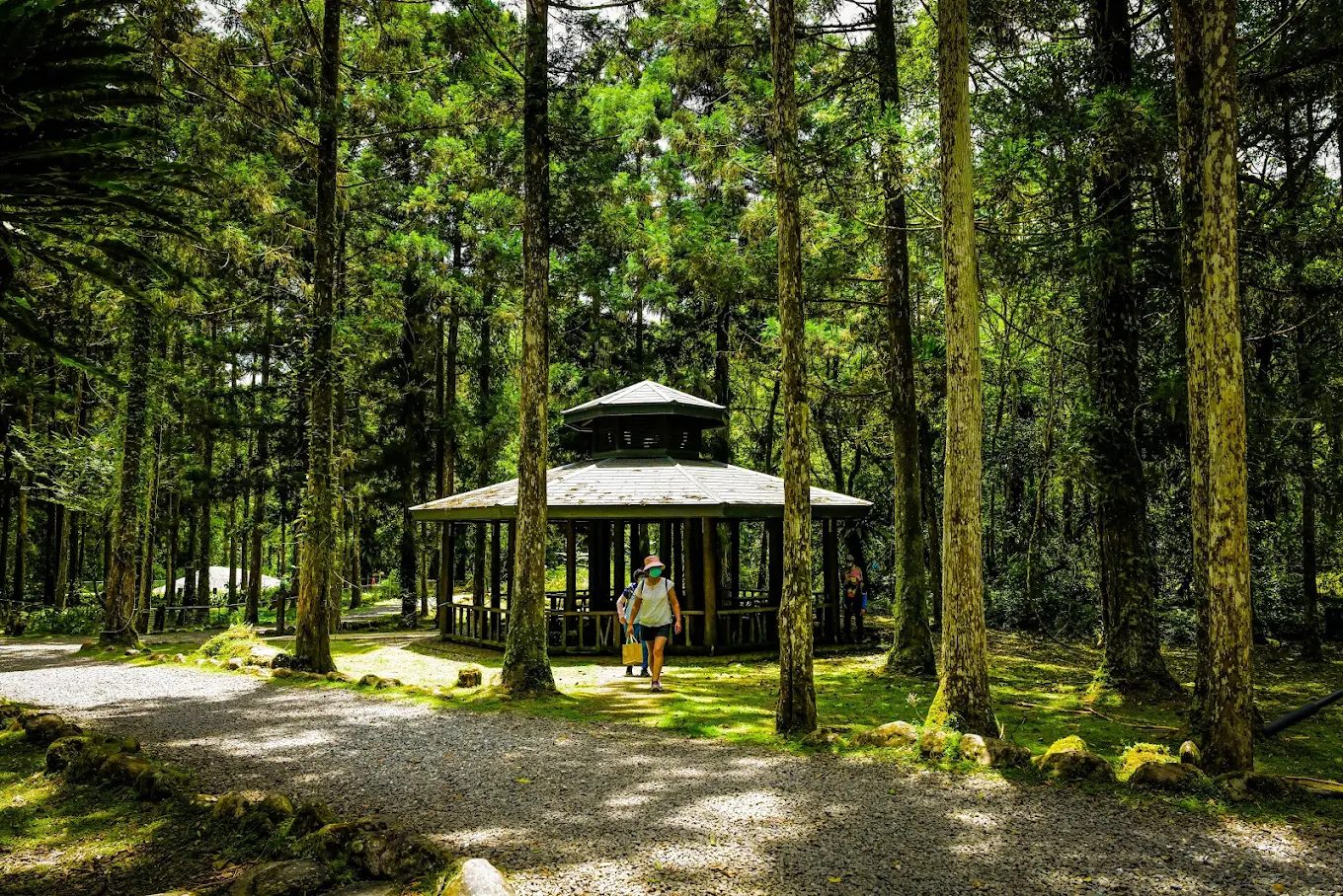 【福山植物園全攻略】申請入園教學、生態步道導覽、特色景點一次掌握！