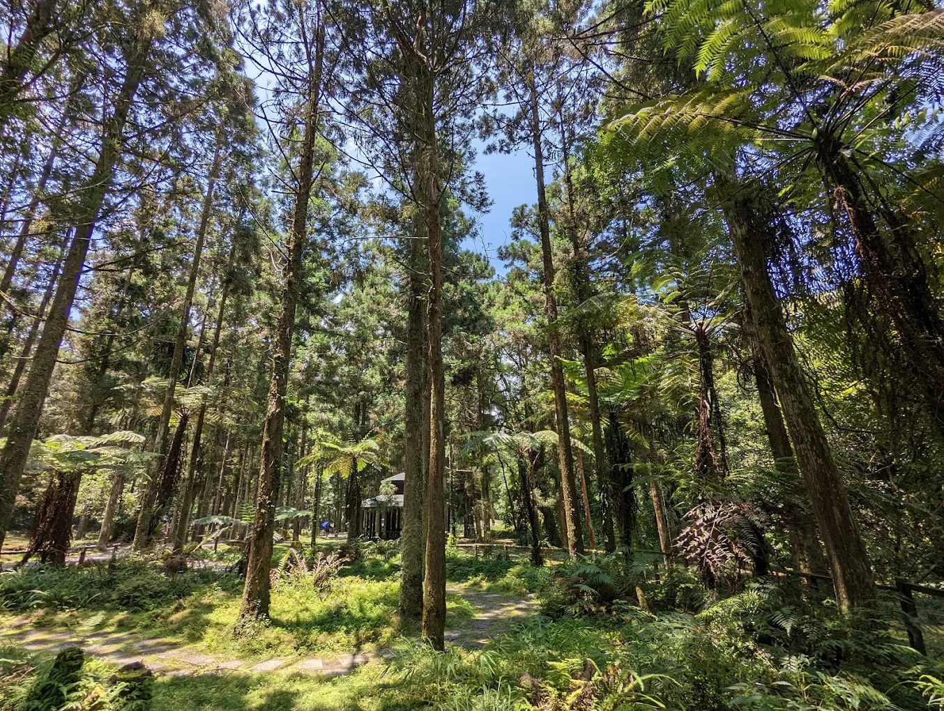 【福山植物園全攻略】申請入園教學、生態步道導覽、特色景點一次掌握！
