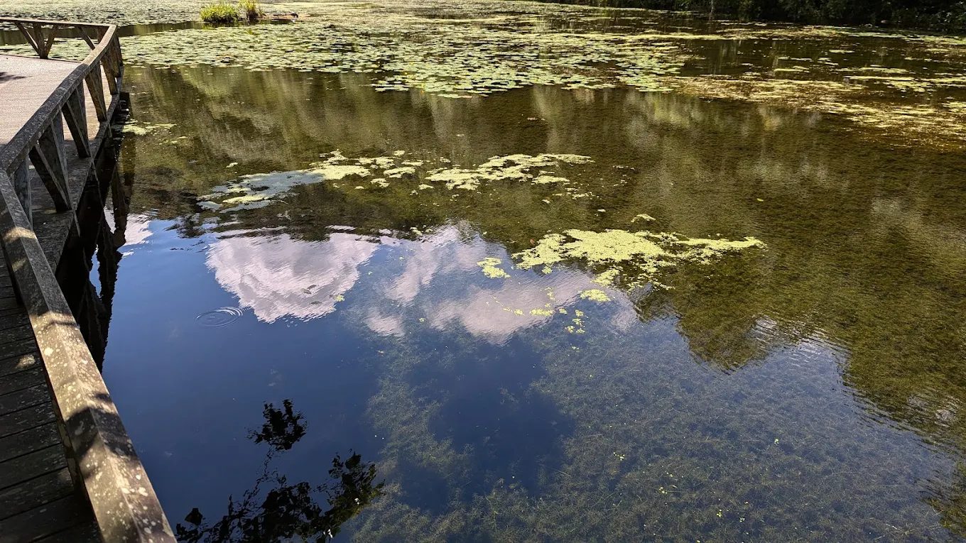 【福山植物園全攻略】申請入園教學、生態步道導覽、特色景點一次掌握！