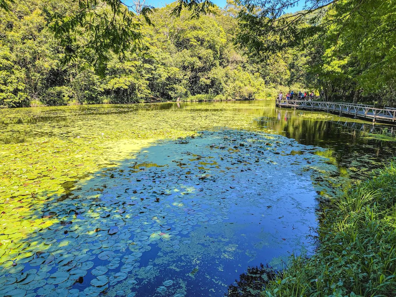 【福山植物園全攻略】申請入園教學、生態步道導覽、特色景點一次掌握！