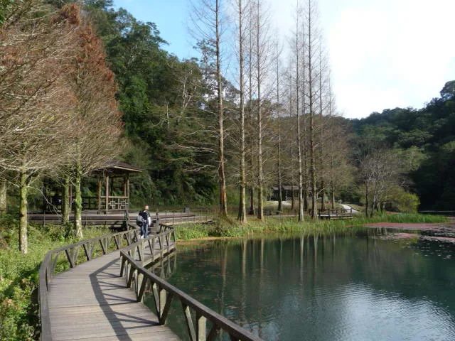 【福山植物園全攻略】申請入園教學、生態步道導覽、特色景點一次掌握！
