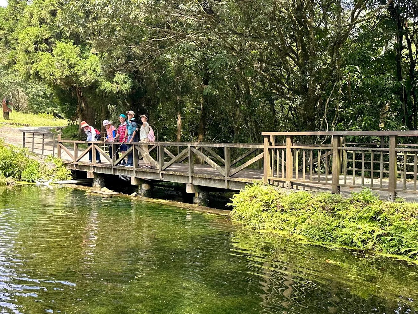 【福山植物園全攻略】申請入園教學、生態步道導覽、特色景點一次掌握！