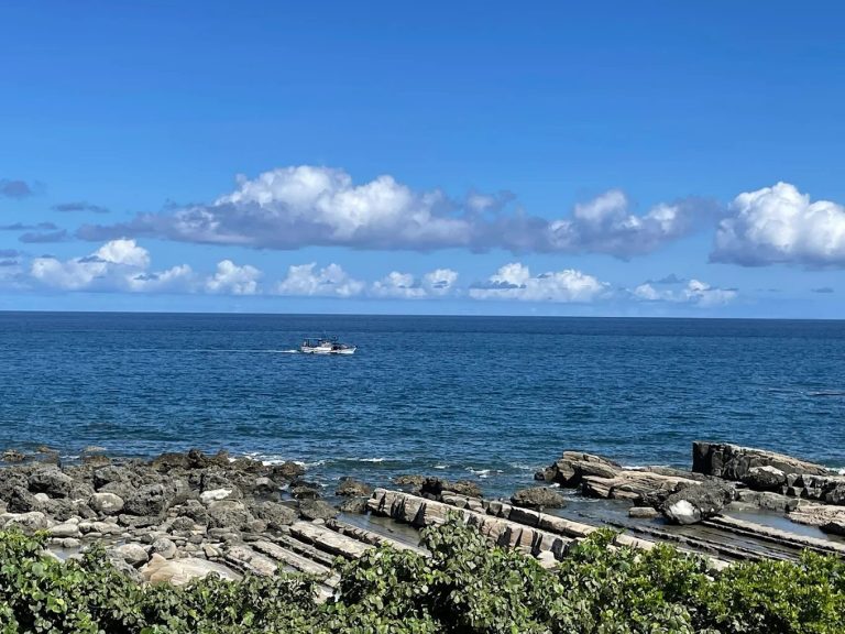探索台東必訪景點:從小野柳到海濱公園的完整指南