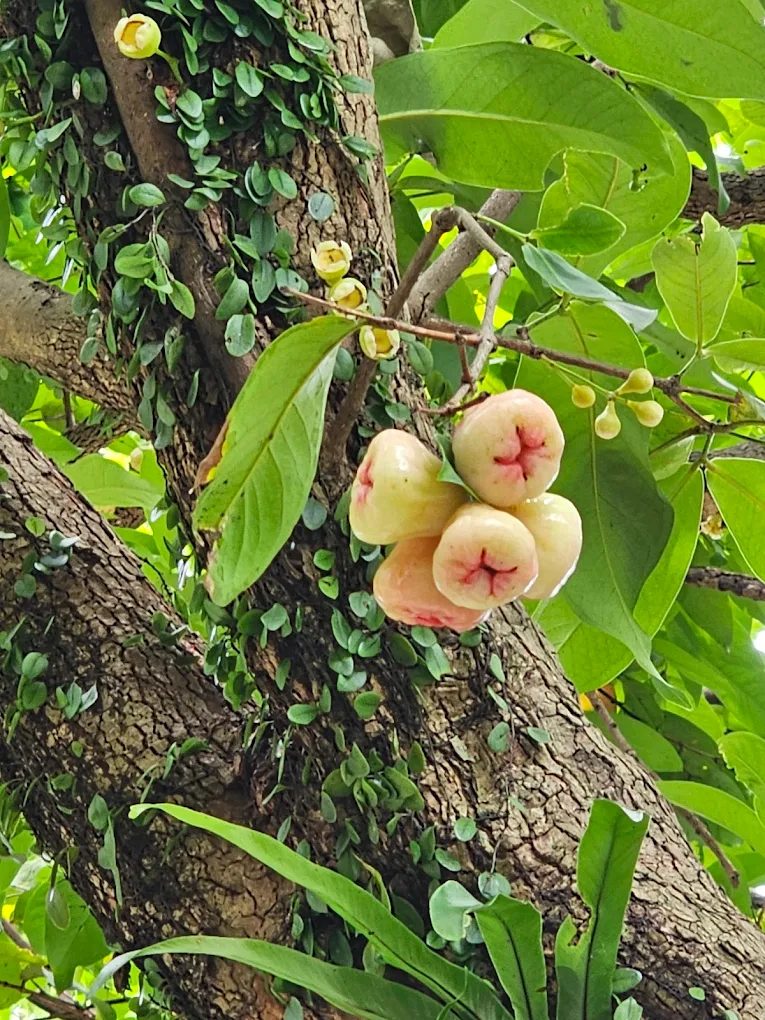 探索台北景點：陽明山、大安森林及更多必去之地
