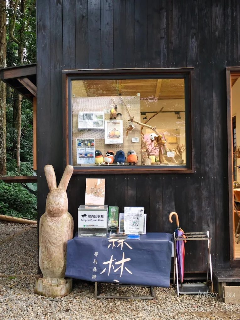 探索東眼山國家森林遊樂區：你的最佳健行及生態體驗指南