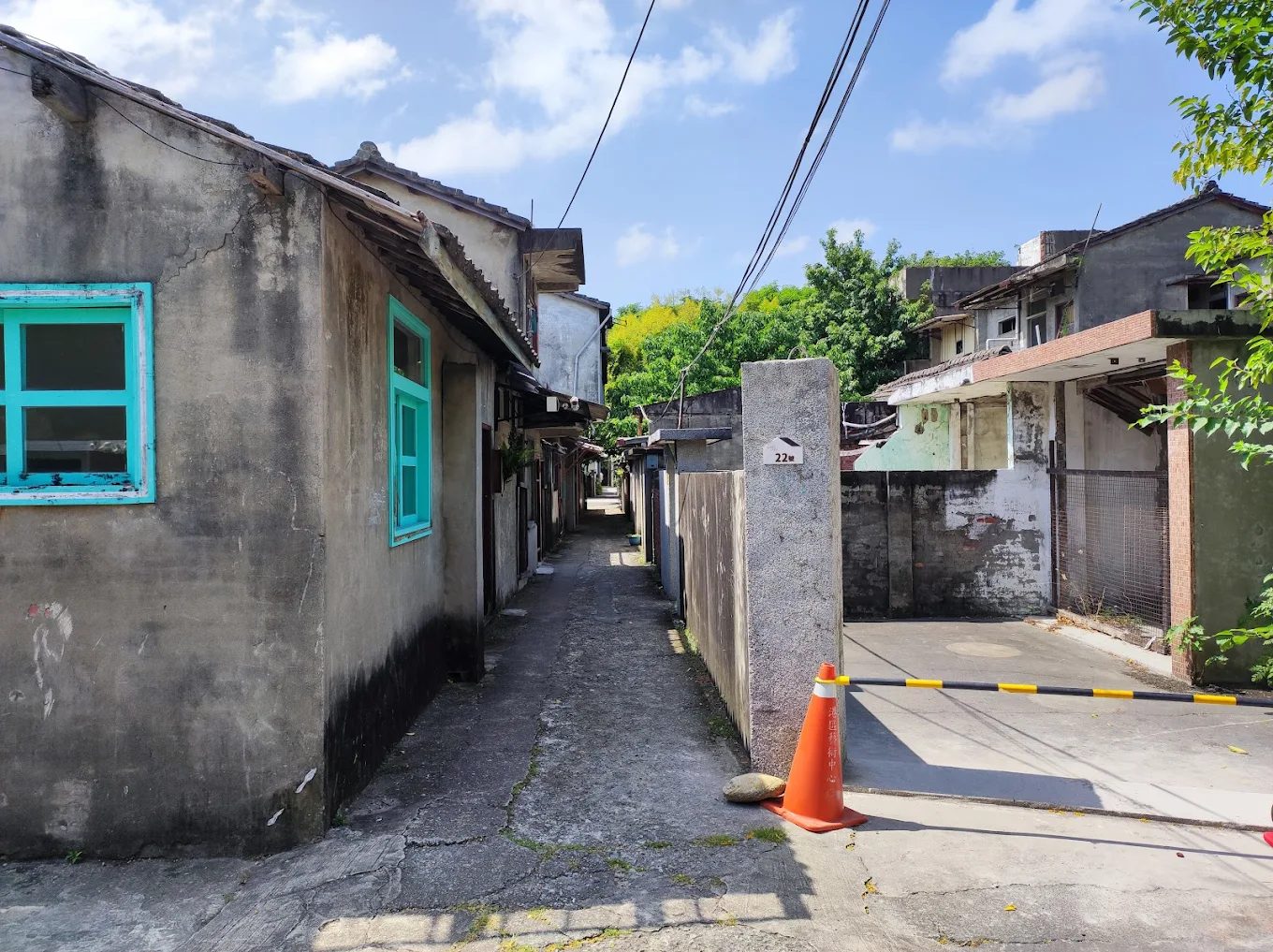 🐾台中沙鹿一日遊｜寵物友善景點與鹿雅森林夜景饗宴