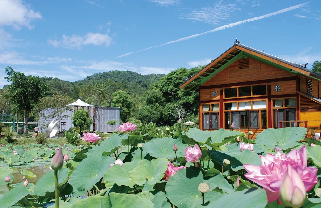 南投包棟民宿首選|埔里悅居包棟民宿攻略:打造完美親友旅行體驗
