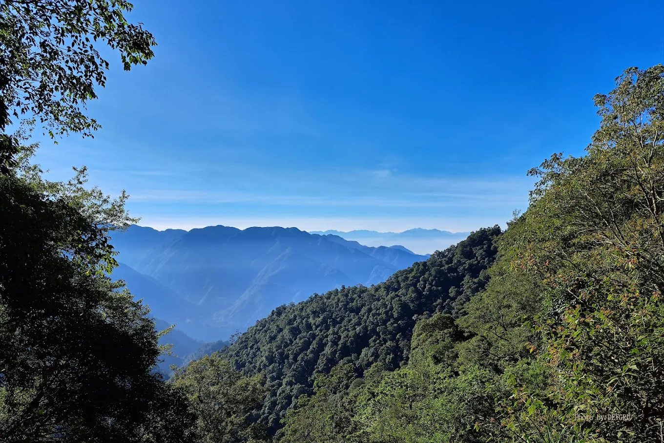 中部避暑景點精選|五大天然清涼秘境讓身心徹底放鬆