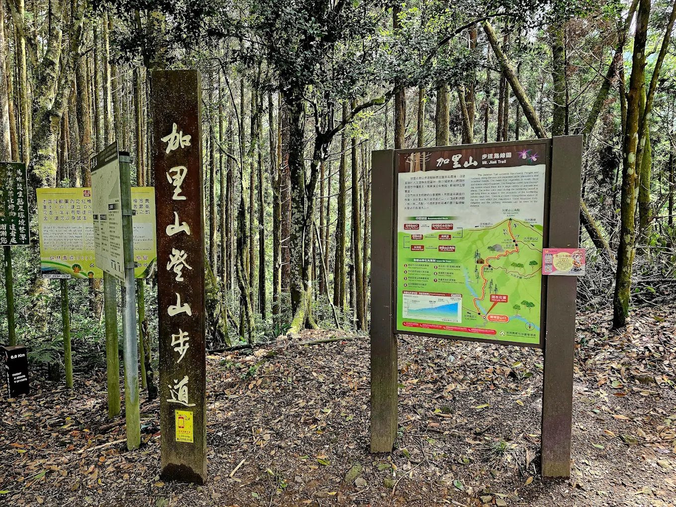中部避暑景點精選|五大天然清涼秘境讓身心徹底放鬆
