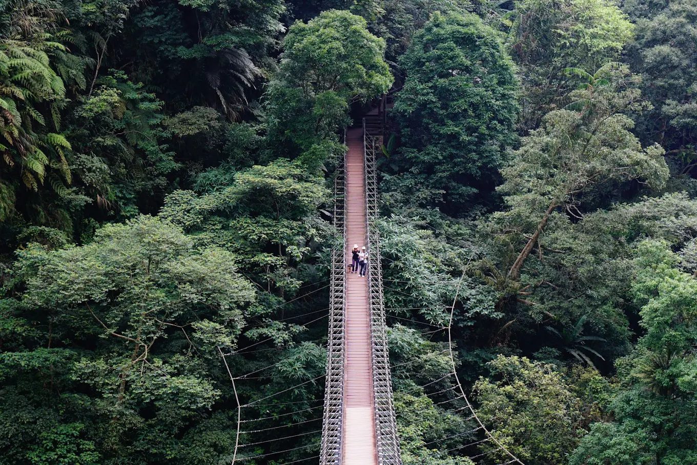 南投竹山旅遊全攻略|景點美食一次推薦讓你暢遊竹山