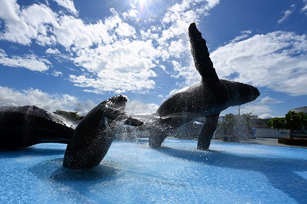 探索四重溪溫泉的魅力｜親子同遊與放鬆心靈的最佳選擇