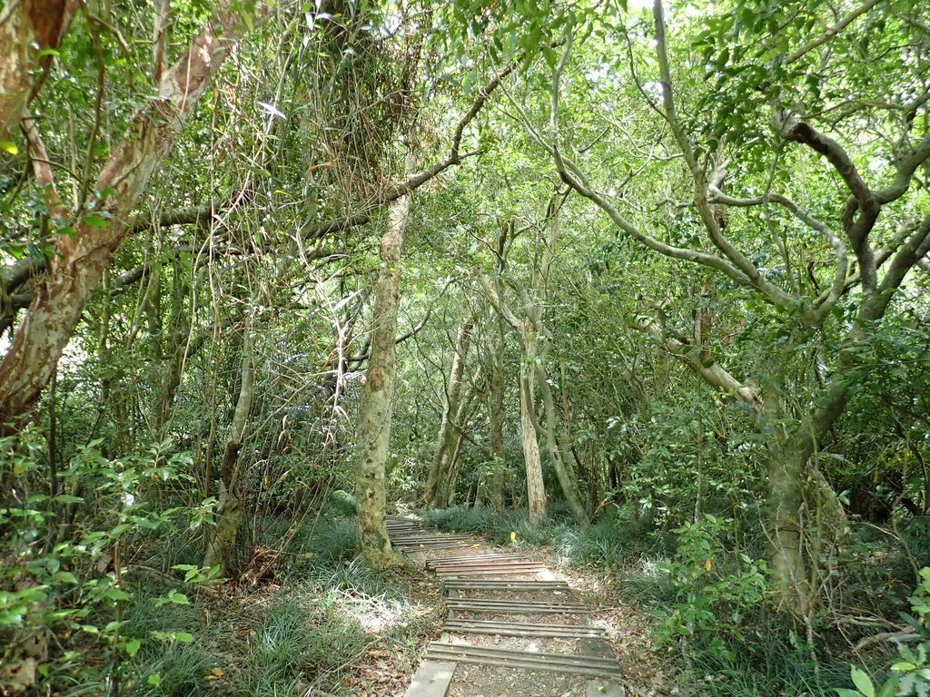 雙流國家森林遊樂區｜探索台灣最美的自然風光