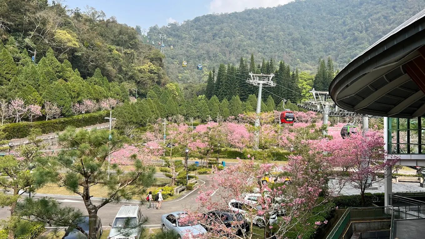 日月潭纜車完美觀光攻略｜輕鬆俯瞰絕美湖山風光