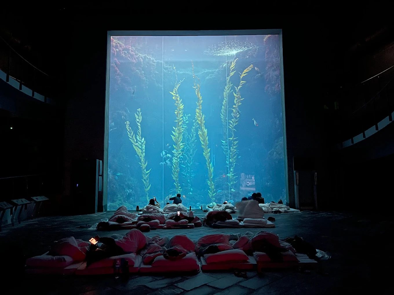 屏東海生館遊樂全攻略｜5大必玩活動＋美味餐飲推薦，讓一日遊更充實