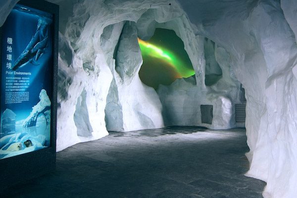 屏東海生館遊樂全攻略｜5大必玩活動＋美味餐飲推薦，讓一日遊更充實