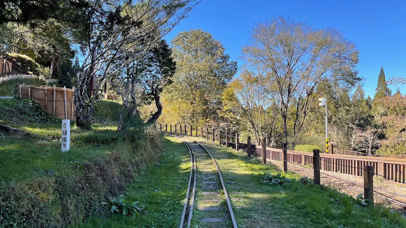 阿里山一日攻略｜提升遊玩效率的森林遊樂區旅遊完全指南
