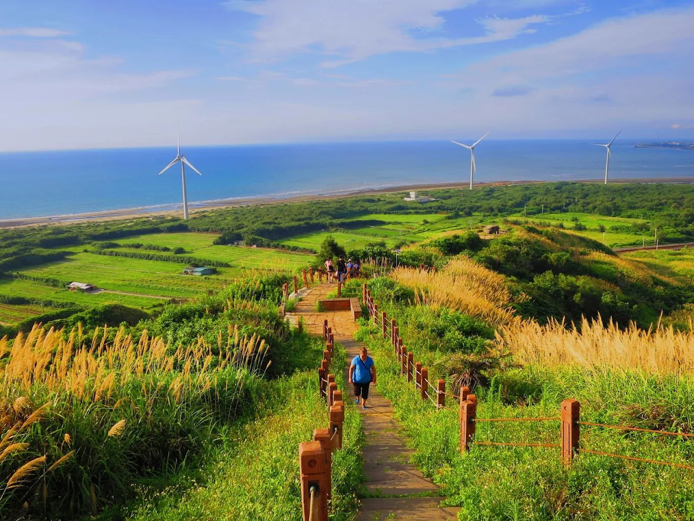 苗栗景點推薦：探索後龍好望角風景區的絕美魅力