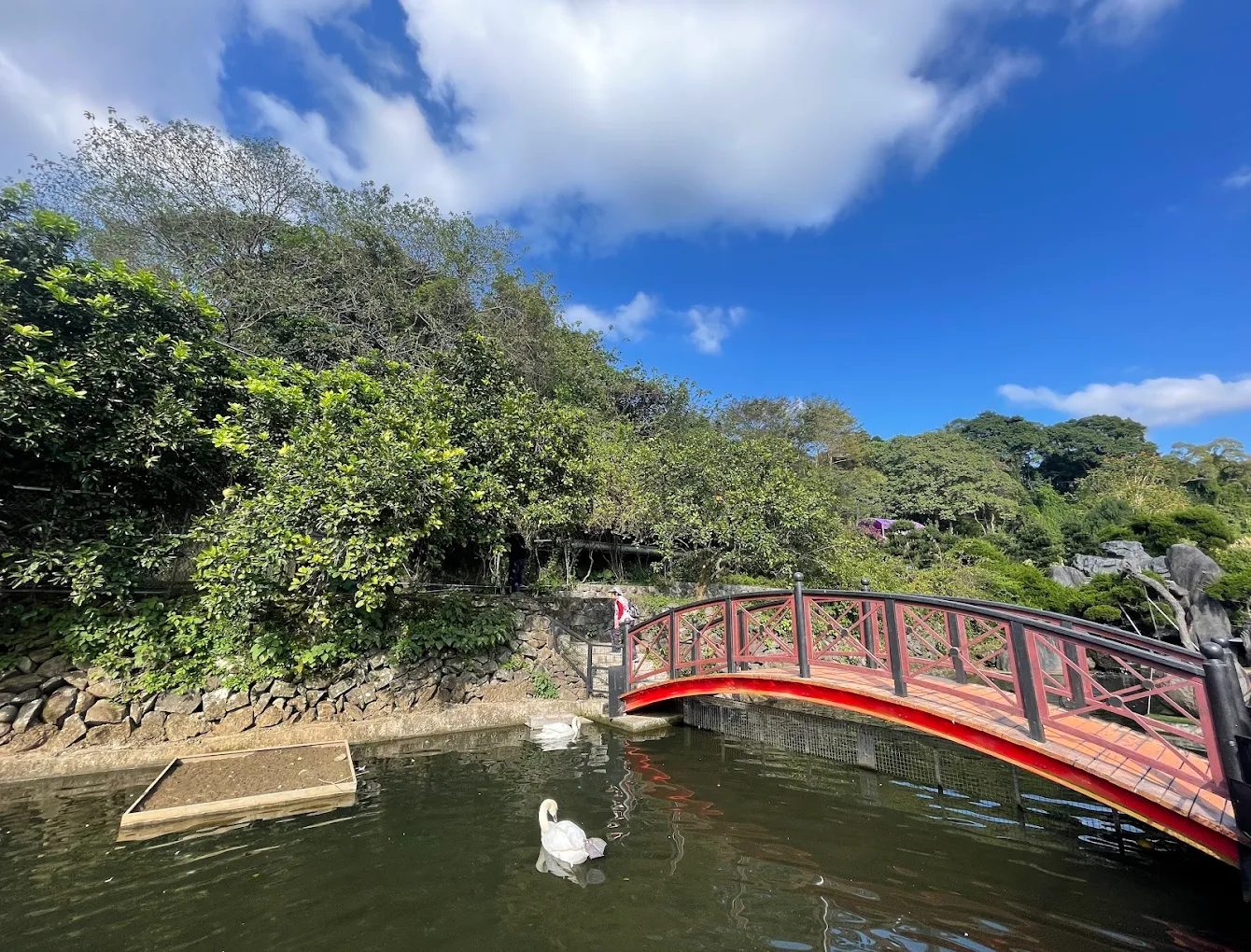 探索大溪景點：帶你發現桃園的美好隱藏寶藏