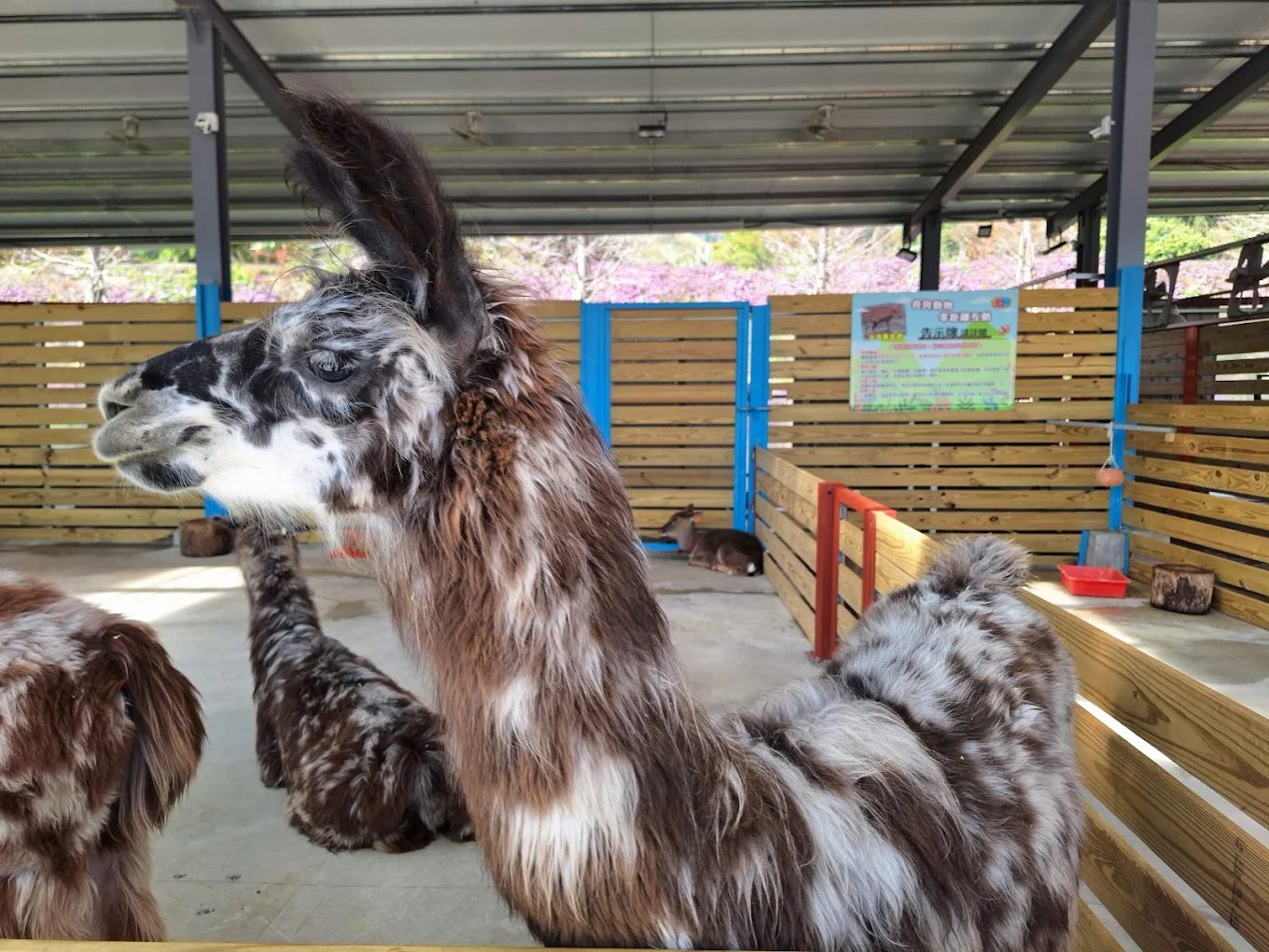 苗栗親子景點推薦｜牧場體驗×DIY手作×親水活動×湖畔遊憩，一次收錄最完整家庭旅遊提案！