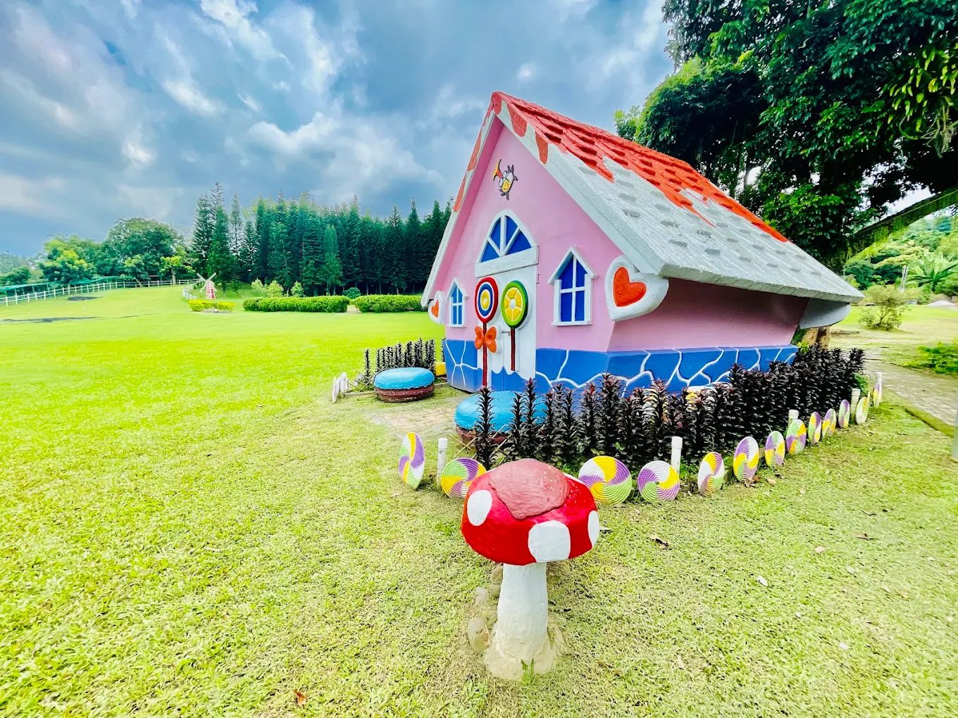 🐷 嘉義三隻小豬觀光農場｜餵水豚、親子一日遊超好玩攻略！