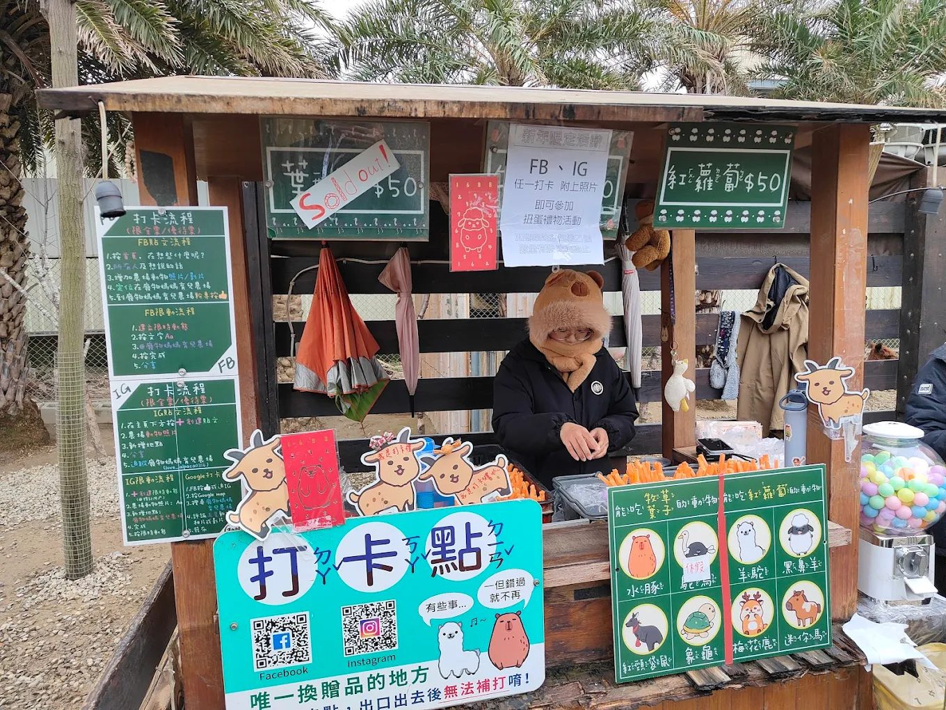 桃竹苗親子景點：2025年必訪的五大最佳親子遊樂場所