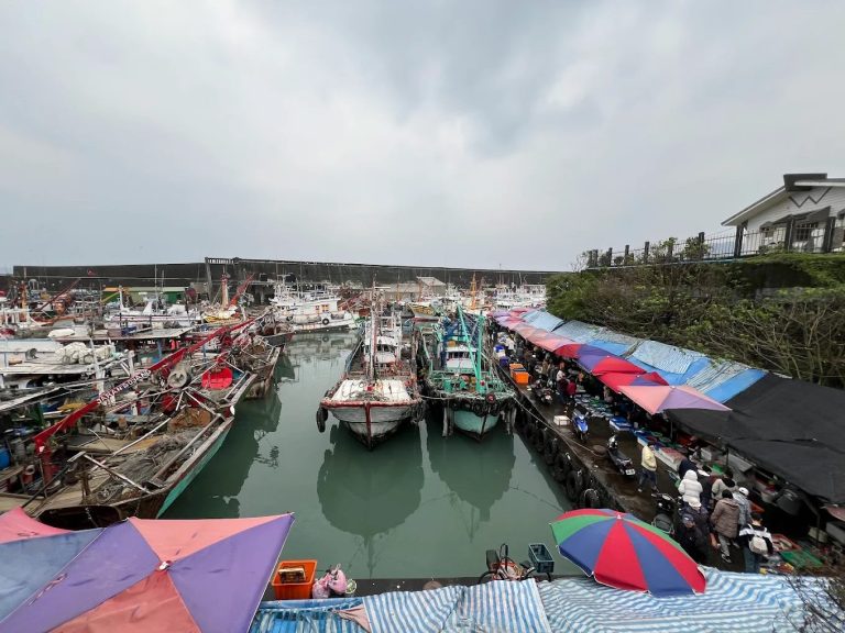 探索大溪漁港的最佳海鮮美食及旅遊景點