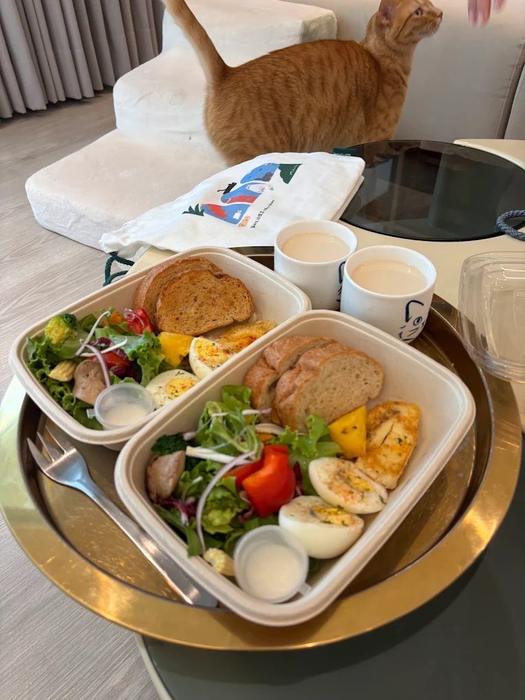 🌸羅東景點一日遊攻略｜走訪羅莊櫻花步道、羅東運動公園，體驗宜蘭自然與人文之美！