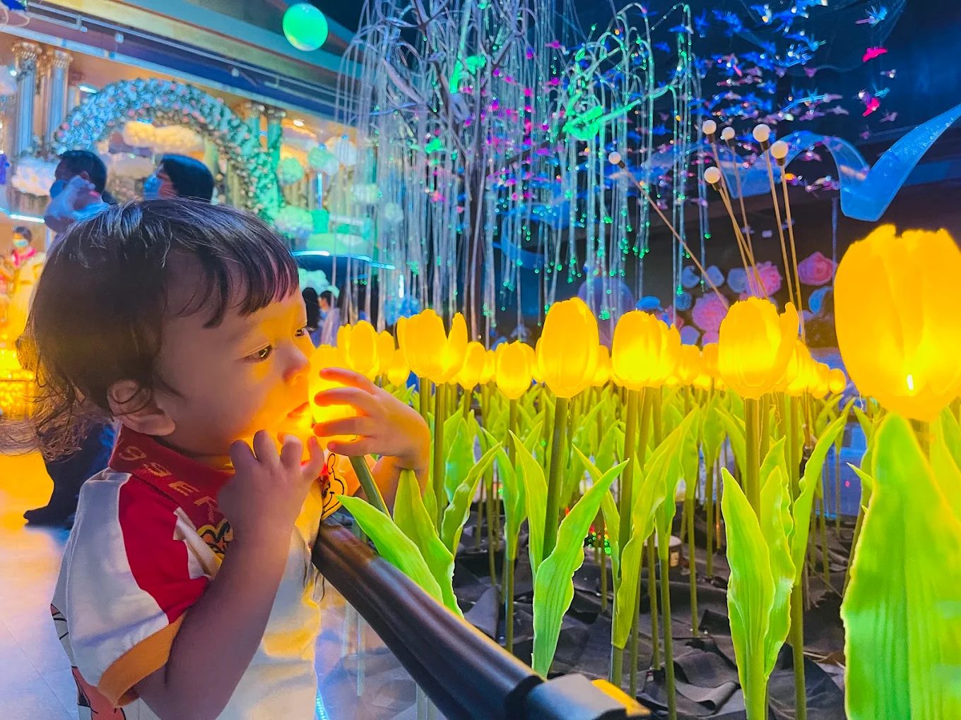 台中景點：探索五大必訪景點提升旅遊體驗