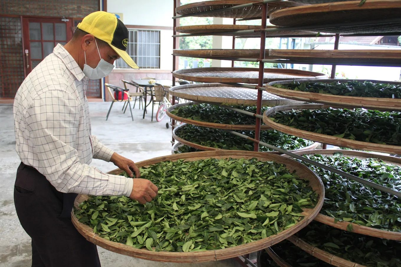 鹿野高台旅遊指南｜搭熱氣球、看茶園，體驗台東最壯闊的山谷風景