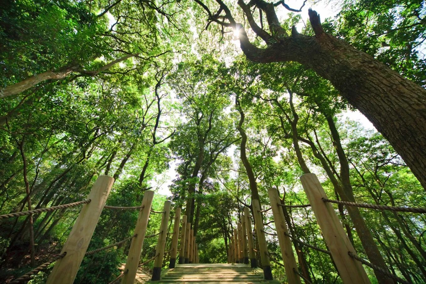 麗多森林溫泉酒店｜舒適休閒的一站式山林渡假首選