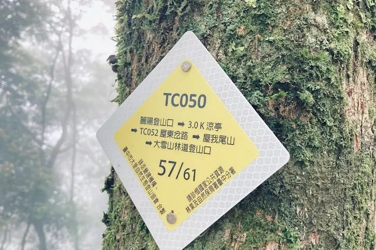 探索谷關七雄|7 座中級山+秘境瀑布+在地美食攻略