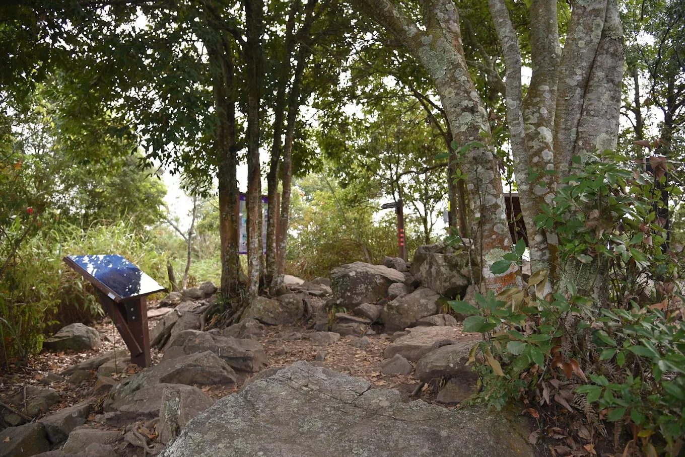 探索谷關七雄|7 座中級山+秘境瀑布+在地美食攻略