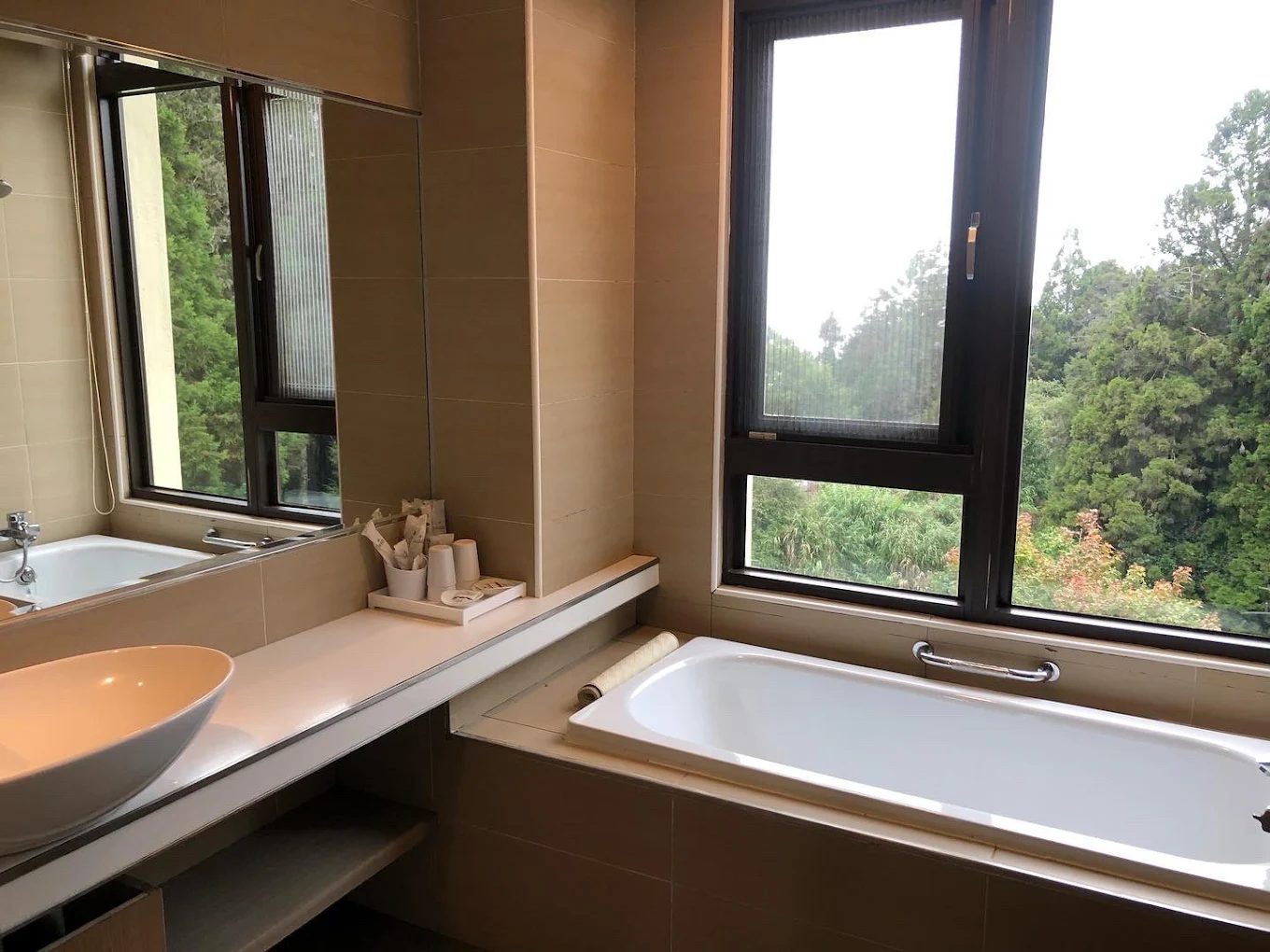 阿里山閣大飯店｜森林中醒來的日出秘境，一場驚豔山林假期