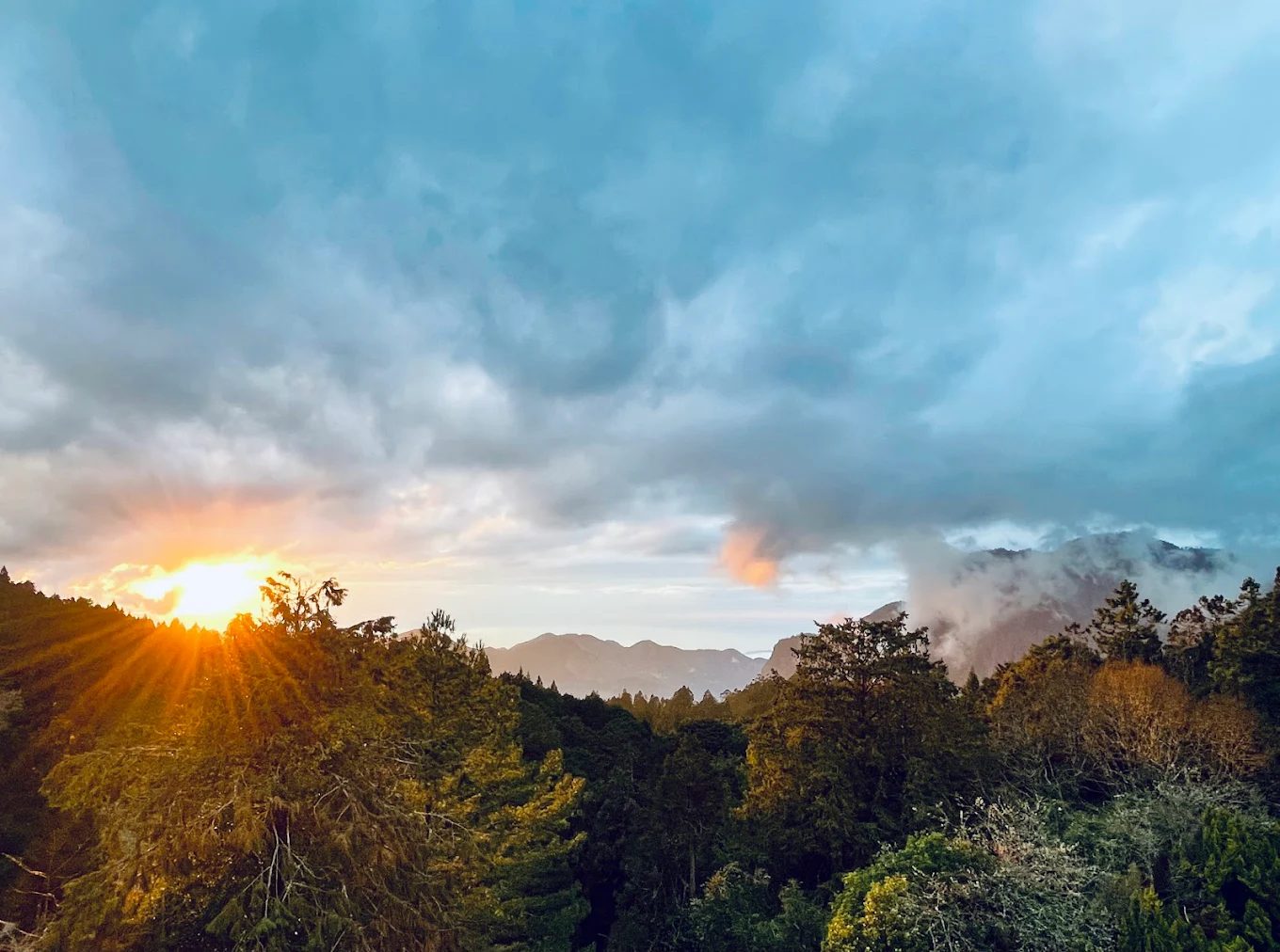 阿里山閣大飯店｜森林中醒來的日出秘境，一場驚豔山林假期