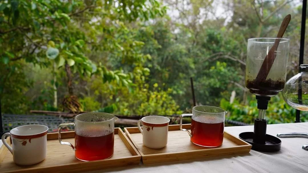 台灣景觀咖啡廳推薦｜4 間山海田野絕美打卡精品，下午茶與雲海一次收藏！