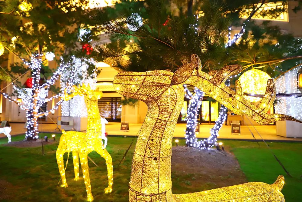 🏨 台中飯店推薦｜精選人氣住宿！從五星級豪華到親子友善，輕鬆選到理想下榻地點