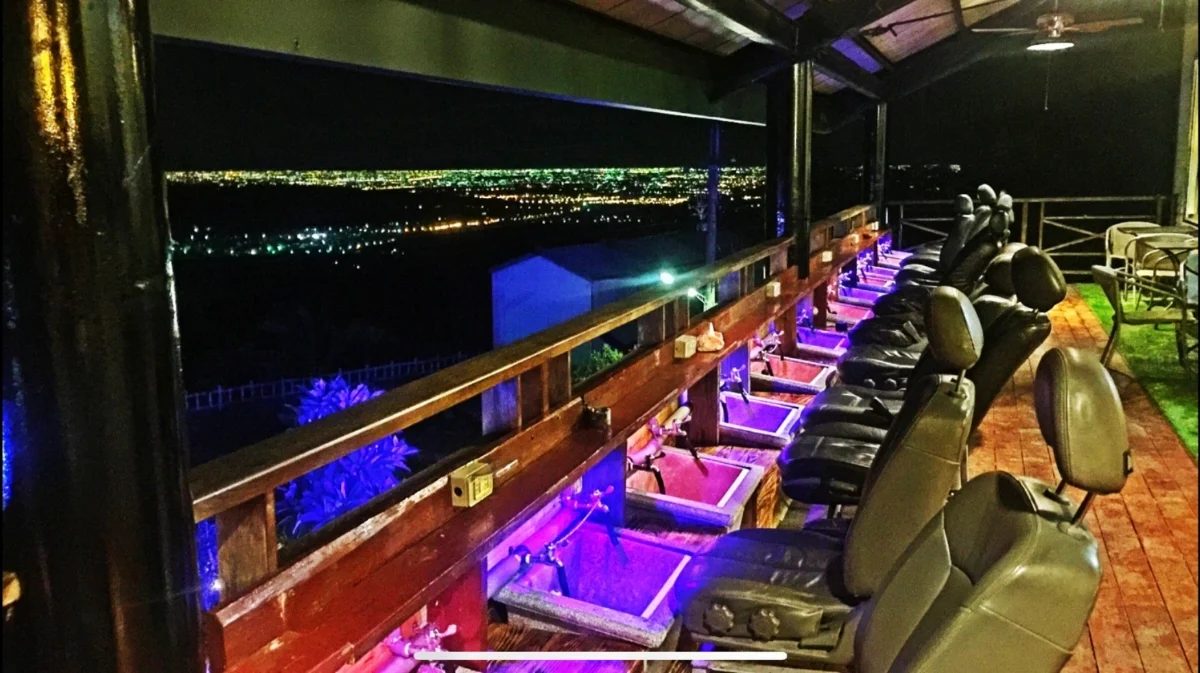 🌄 雲林古坑一日遊：劍湖山、華山小天梯與五大打卡咖啡景點推薦！