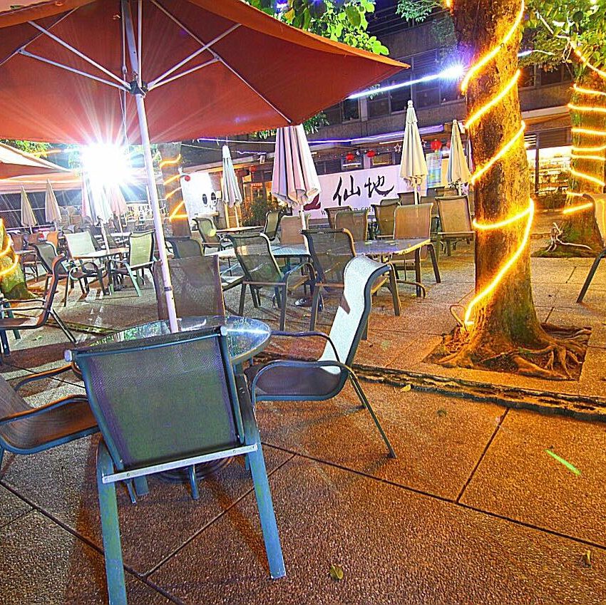 🌄 雲林古坑一日遊：劍湖山、華山小天梯與五大打卡咖啡景點推薦！